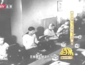 《2011 年 BTV 档案：德国纳粹“狼群”的惊天覆灭！》-小文资源网