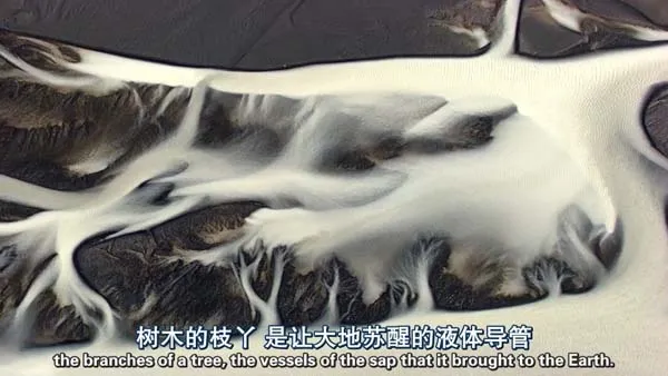 [2009][法国][Home.家园][加长版][双语字幕][1.88G][百度盘]