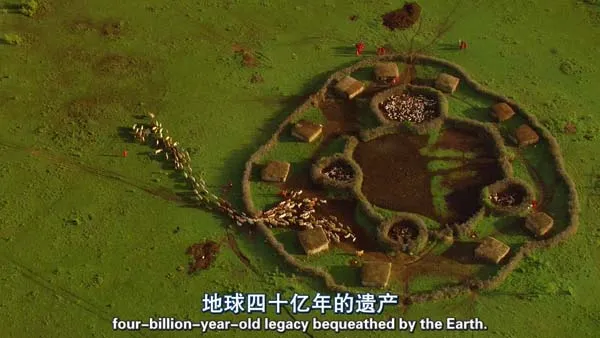[2009][法国][Home.家园][加长版][双语字幕][1.88G][百度盘]