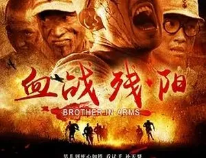 《血战残阳》2013 精彩巨献，普通话全集 4.55G 百度下载