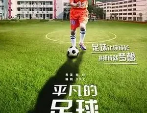 《平凡的足球》2016 精彩呈现，汉语普通话全集 4.63G 百度下载资源