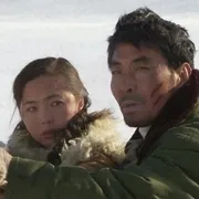 2006《雪狼》[普通话/全22集4.52G][百度下载]
