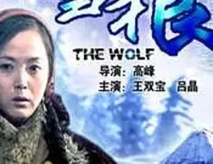 《雪狼》2006 普通话全 22 集 4.52G 精彩呈现 百度下载