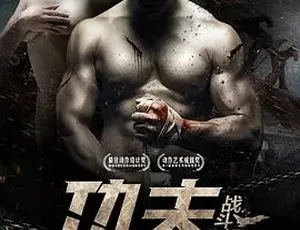 《功夫战斗机》2013 精彩呈现：动作与剧情的完美交织，汉语普通话全集 5.26G 百度下载-小文资源网