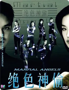 [2001][香港][绝色神偷][国语中字][MKV][2.20GB][百度网盘]