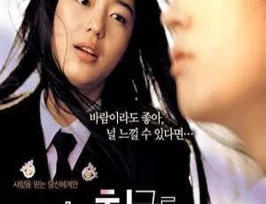 《2004 韩国经典电影国语中字 RMVB 版 1.09GB 百度网盘分享》