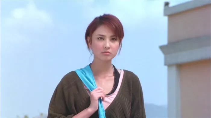 [2004][香港][万人迷_身娇肉贵_The Attractive One][国语中字][MKV][3.43GB][百度网盘]