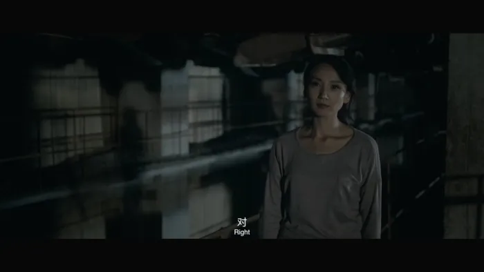 [2017][中国][黑客风][mp4][国语中字][539MB][百度网盘]