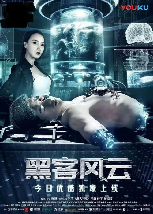 [2017][中国][黑客风][mp4][国语中字][539MB][百度网盘]