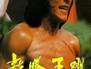 《1983 年香港经典：龙腾虎跃之笑拳怪招 2 国语版 2.07GB 百度网盘资源》