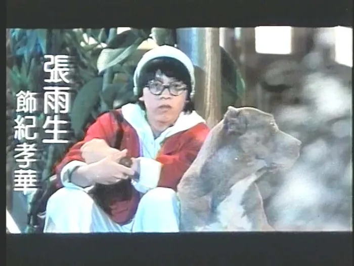 [1989][中国台湾][七匹狼I+II合集][国语中英双字][VOB][1.37GB][百度网盘]