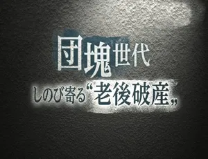 《团块世代老年破产危机：2016 震撼纪录片》