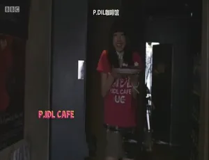 《东京女孩：精彩绝伦的纪录片 720P 英语配音中英双字 百度网盘资源》-小文资源网