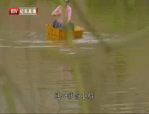 《江南味道》精彩纪录片，8 集 720P 国语配音中文字幕，百度网盘分享-小文资源网