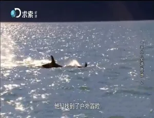 《1000 个必游胜地：震撼纪录片 13 集 1080P 英语配音中文字幕 百度网盘资源》-小文资源网