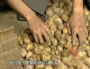《震撼！中国民间漆艺生存实录全 1 集[标清]百度网盘资源》-小文资源网