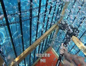 《奇葩挑战赛》震撼纪录片：第 11 季 99 集 1080 中字 百度网盘呈现-小文资源网