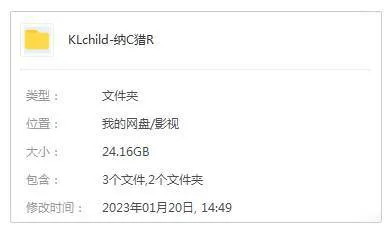 美剧《纳粹猎人/Hunters》全2季(Amazon出品)高清/原声中字/视频合集【百度云网盘下载】