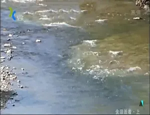 《含泪活着 2006》震撼纪录片！1080P 高清，两集国语配音中文字幕，百度网盘资源