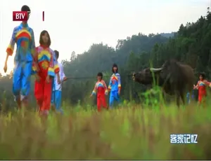 《印记：楚风湘韵系列》精彩绝伦的 26 集纪录片 [1080P][国语配音中文字幕][百度网盘]-小文资源网
