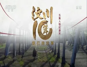 《汶川十年：震撼心灵的我们的故事[1080P 高清 5 集 国语中字] 百度网盘资源》