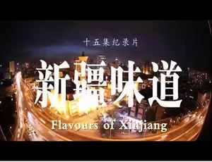 《新疆味道》精彩纪录片，1080P 高清国语中字，百度网盘资源-小文资源网