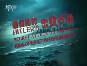 《希特勒秘袭美国！震撼纪录片[TS/蓝光][全 1 集中字][百度网盘]》-小文资源网