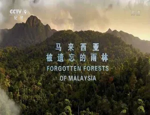 《探秘马来西亚被遗忘的雨林：TS 蓝光全 1 集，百度网盘资源》-小文资源网