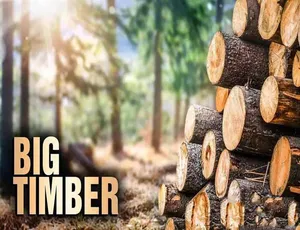 《终极伐木达人 Big Timber》精彩纪录片，第 1 季中字，720P/1080i 高清，21.68G 百度网盘资源-小文资源网