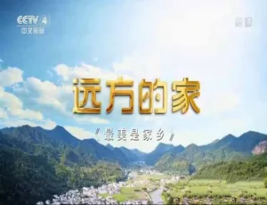 《远方的家 最美是家乡》精彩纪录片[720P/1080i]第 56 - 87 集 31.8G 百度网盘资源-小文资源网