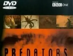 BBC 震撼纪录片《掠食者》全 6 集 英语中字视频 MP4 格式 680.13MB 百度云网盘免费下载-小文资源网