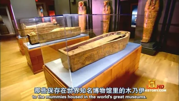 [2008][美国][人类消失后的世界][7.5G][百度盘]