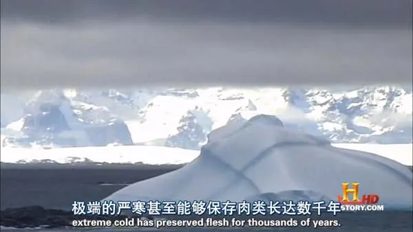 [2008][美国][人类消失后的世界][7.5G][百度盘]