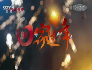 《回家过年》精彩纪录片：720P 画质，10 集国语配音中文字幕，百度网盘资源