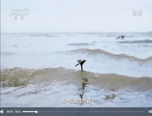 《海口百年》震撼纪录片！1080P 高清，2 集国语配音中文字幕，百度网盘资源-小文资源网