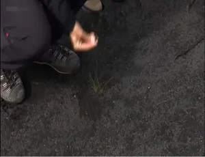 《与茱莉亚·布莱伯利的冰岛徒步之旅：精彩纪录片》-小文资源网