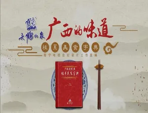 《广西的味道：12 集精彩纪录片，1080P 高清，国语配音中文字幕，百度网盘分享》-小文资源网