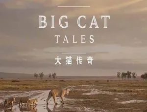 《大千世界之传奇大猫：震撼全 5 集 [TS/蓝光] 百度网盘呈现》