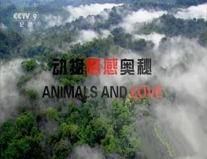 《探秘动物情感：精彩纪录片 [TS/蓝光][全 2 集中字][百度网盘]》