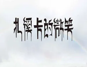 《扎溪卡的微笑：震撼心灵的纪录片》-小文资源网