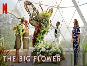 《鲜花大战 The Big Flower Fight》精彩纪录片 1080P 第一季中字 16.91G 百度网盘资源