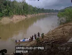 《探秘科鲁博原始部落：为生存而战的震撼之旅》