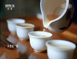 1080P 国语中字！《记住乡愁》第二季全 60 集百度网盘资源