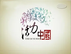 1080P 两集国语配音中字《小人物的大电影》纪录片百度网盘资源