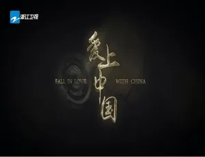 1080P 3集国语配音中字《爱上中国》纪录片百度网盘资源-小文资源网