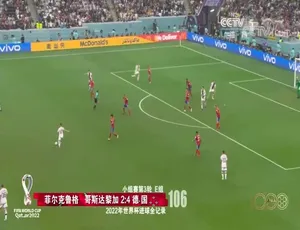 2006 - 2022世界杯全进球集锦纪录片：1080P 5集国语中字 百度网盘资源