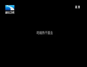 720P 两集国语中字！《舌尖上的武汉·热干面》纪录片百度网盘资源-小文资源网