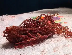 1080P 英语中字！纪录片《奇妙美食之旅》第三季 11 集百度网盘资源