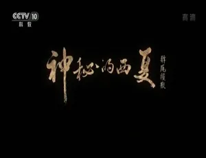 1080P 10集国语中字！百度网盘《神秘的西夏》纪录片资源