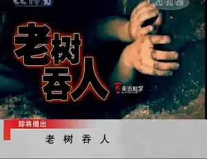 2011 合集标清《走近科学》纪录片百度网盘资源